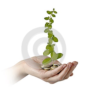 investing money in environment