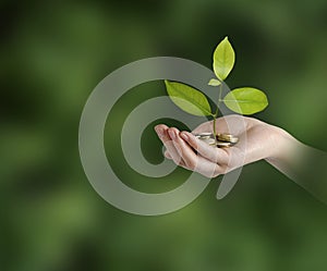 Investing to green business