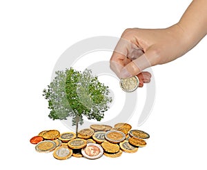 Investing to green business photo