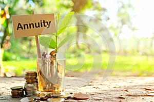 Investment on annuities concept. Coins in a jar with soil and growing plant photo