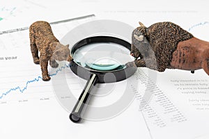 Investment bear and bull stock market concept, magnifying glass