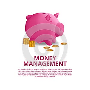 Investment budgeting money finance with illustration of 3D pink piggy bank