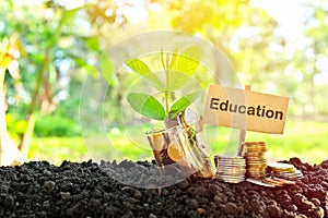 Investment on education concept. Coins in a jar with soil and growing plant in nature