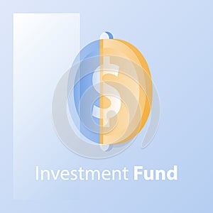 Investment fund, financial solution, providing money, cash loan, capital growth, revenue increase, wealth management photo
