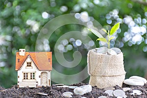 Investment on housing, Plant growth is comparable to financial growth, photo