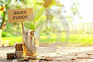 Investment on index funds concept. Coins in a jar with soil and growing plant in nature