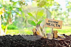 Investment on mental health concept. Coins in a jar with soil and growing plant in nature background.