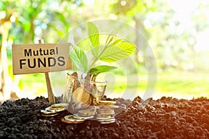 Investment on Mutual Funds concept. Coins in a jar with soil and growing plant in nature background.