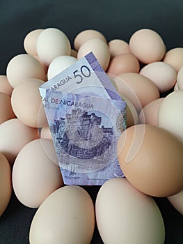 investment in organic egg with nicaraguan money for healthy food