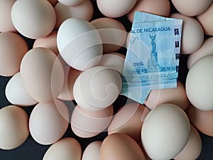 investment in organic egg with nicaraguan money for healthy food photo