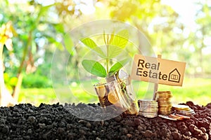 Investment on real estate concept. Coins in a jar with soil and growing plant