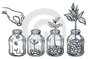 Investment, saving money, finance growth business concept. Hand putting coin in glass jar. Vector sketch illustration