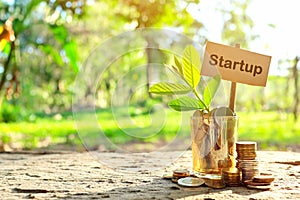 Investment on startup business concept. Coins in a jar with soil and growing plant in nature