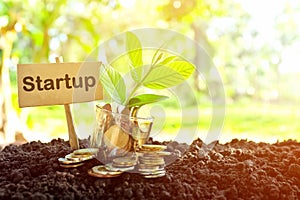 Investment on startup business concept. Coins in a jar with soil and growing plant in nature.