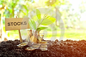 Investment on stocks concept. Coins in a jar with soil and growing plant in nature background.