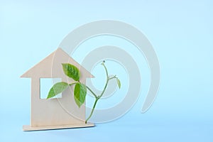 Investment, sustainable, eco and green home living concept. Wooden house model with growing leaves in blue background.