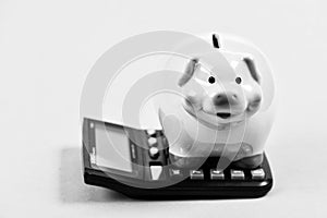 Investments concept. Piggy bank pig and calculator. Taxes and charges may vary. Helping make smart financial choices