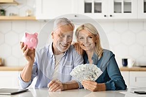 Investments Concept. Smiling Senior Couple Holding Piggybank And Dollar Cash At Home