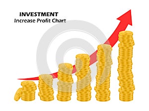 Investments. Increase profit graph. Revenue growth and budget. Capital increase