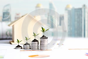 Investor of real estate.  The plants growing on money coin stack for investment home,  business newspaper with financial report on