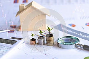 Investor of real estate. The plants growing on money coin stack for investment home with financial report graph background.