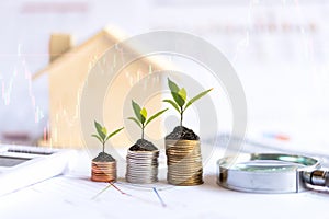Investor of real estate.  The plants growing on money coin stack for investment home with financial report graph background.
