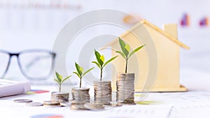 Investor of real estate.  The plants growing on money coin stack for investment home green nature background