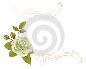 Invitation card with flower