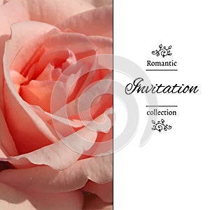 Invitation card with a pale pink rose. Photo background. EPS,JPG.