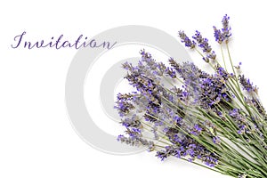 An invitation or greeting card design template with a bouquet of blooming lavender flowers on a white background photo