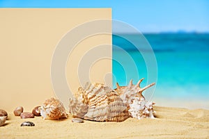 Invitation or greeting card mockup with seashells and starfish on the summer sandy beach at ocean background