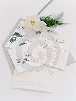 An invitation suite for a wedding photo