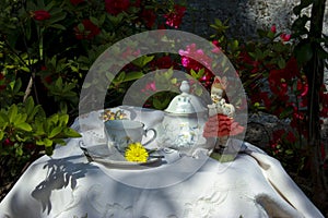 Invitation for tea in the garden, with grandmother`s ceramics