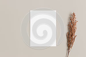 Invitation white card mockup with dry flower. 5x7 ratio, similar to A6, A5