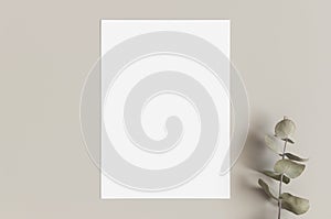 Invitation white card mockup with a eucalyptus branch. 5x7 ratio, similar to A6, A5