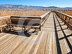 Inviting bench and boardwalk
