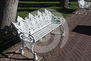 Inviting benches along the sidewalk