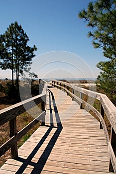 Inviting boardwalk to beach