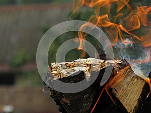 Inviting campfire on the beach during the summer, bring back fond memories