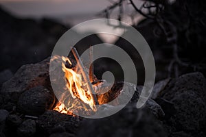 Inviting campfire on the beach during the summer