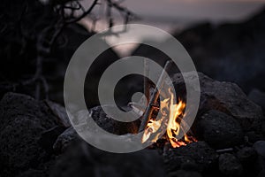 Inviting campfire on the beach during the summer