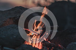 Inviting campfire on the beach during the summer