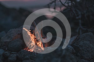Inviting campfire on the beach during the summer