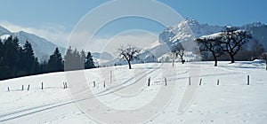 Inviting cross country ski tracks in winters Austria