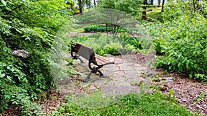 Inviting empty park bench Guelph Riverside park photo