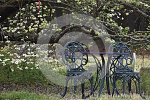 Inviting table and chair in front of a Dogwood Tree