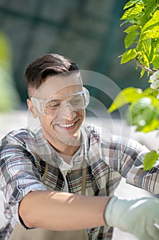 Involved dark-haired male in protective glasses and gloves trimming tree in the yard, smiling