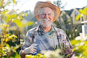 Involved motivated retired man enjoying a day in the garden