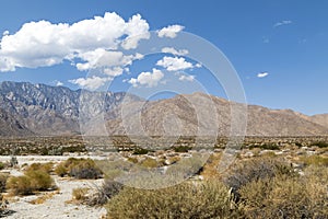 Inyo County Landscape