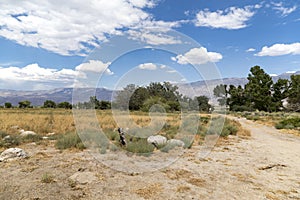 Inyo County Landscape